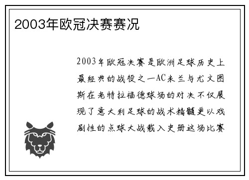 2003年欧冠决赛赛况